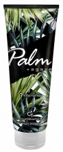 palm-+-agave