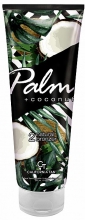 palm-+-coconut