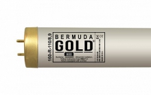 bermuda_gold_26_160_180