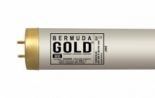 bermuda_gold_30_120